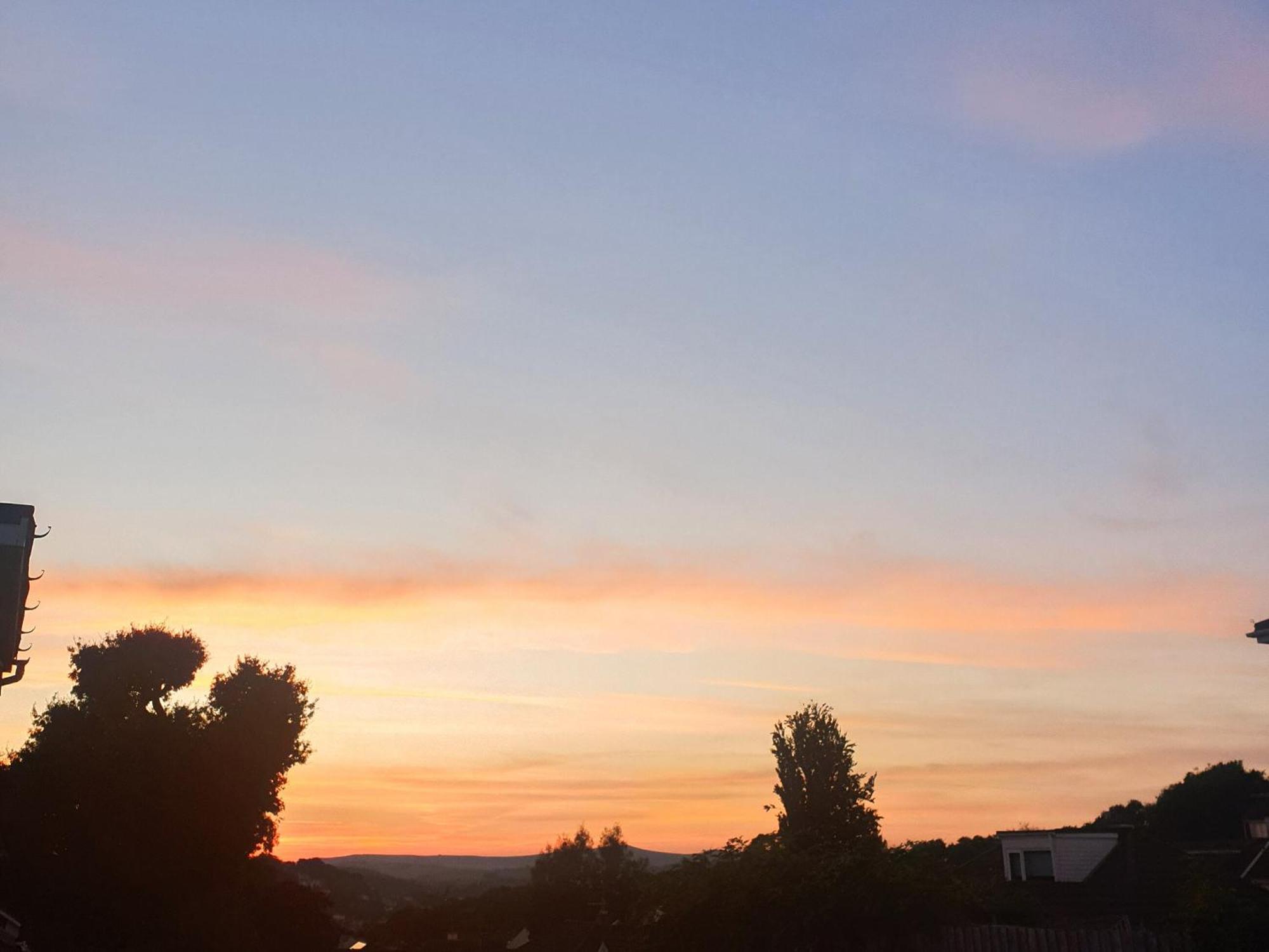 Moor View *